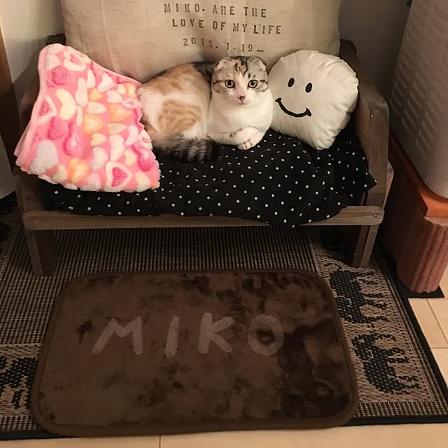 yokkochanさんの実例写真
