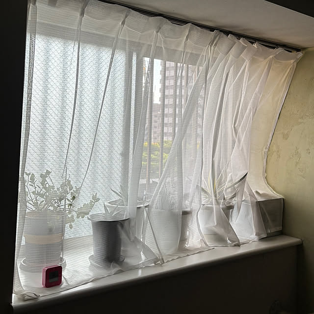 koshiregutyoさんの部屋