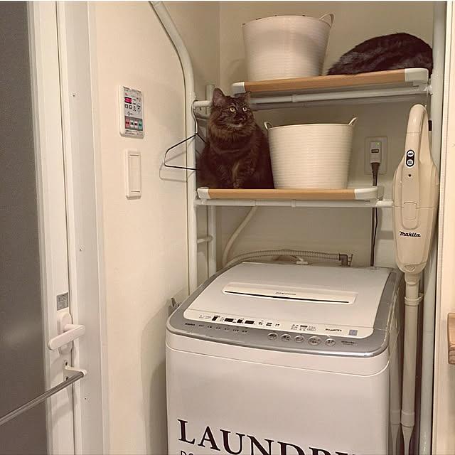 mikomaruさんの実例写真