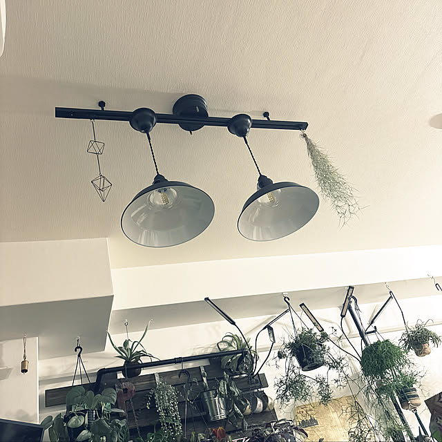 sysysyさんの実例写真