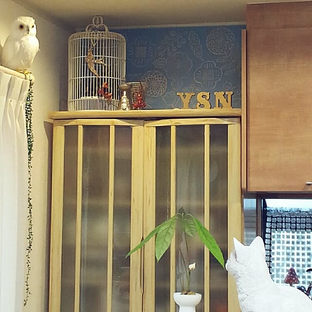 naive.coccoさんの実例写真
