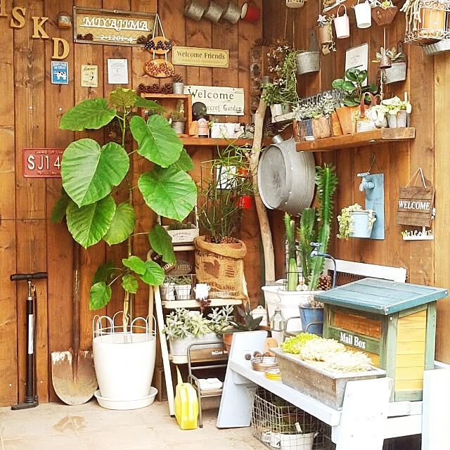 383junkさんの実例写真
