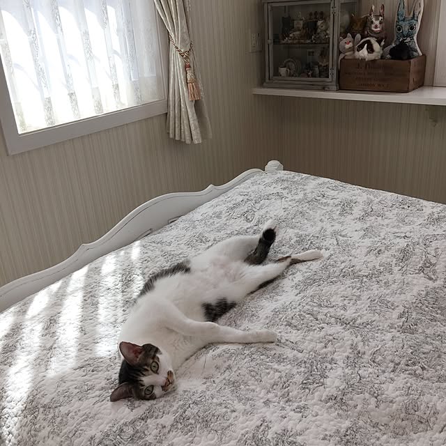 yuchiさんの実例写真