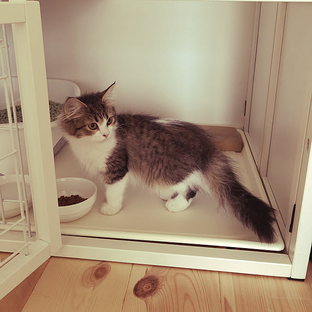 hiroさんの実例写真