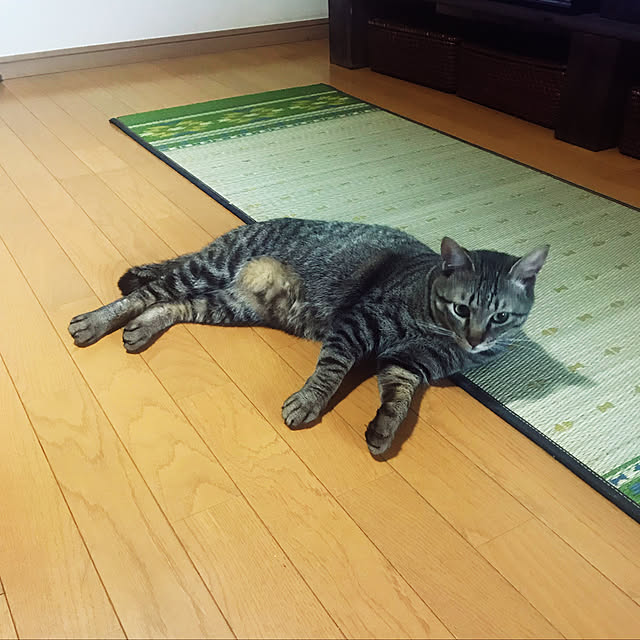 mikan161さんの実例写真