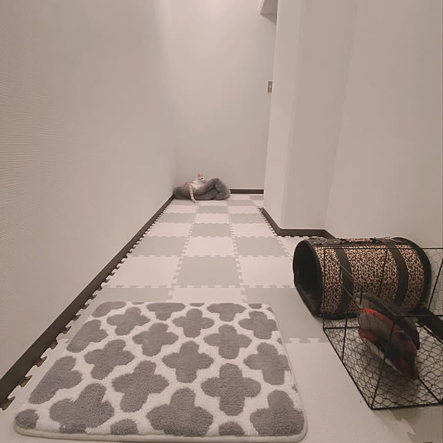 lemon_tea.さんの実例写真