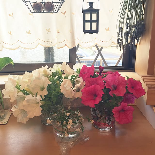 canmilmamaさんの実例写真
