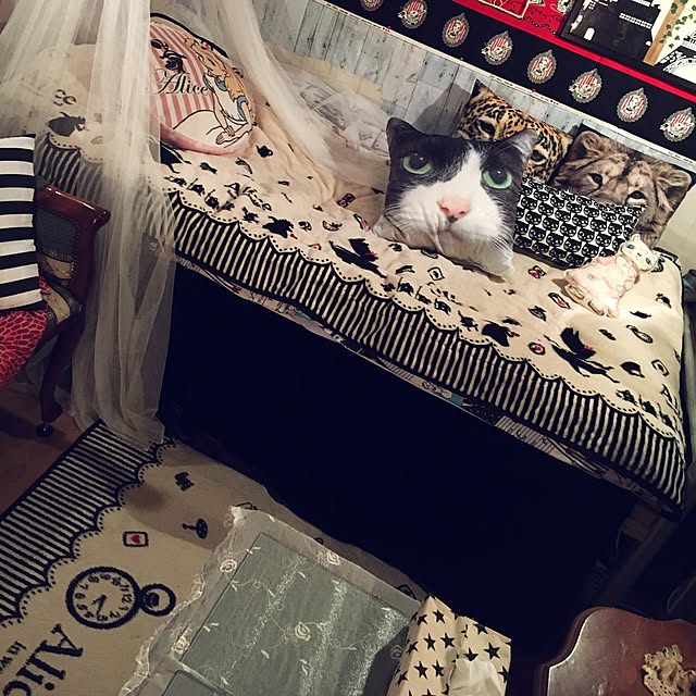 machakoさんの実例写真