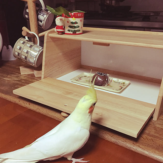 toratanさんの実例写真