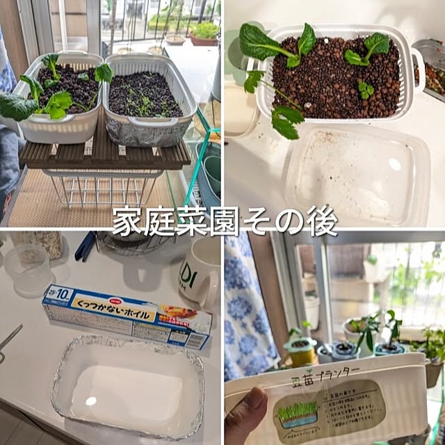 mi-saさんの部屋
