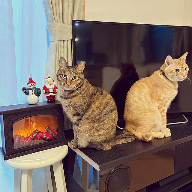 chiiさんの実例写真