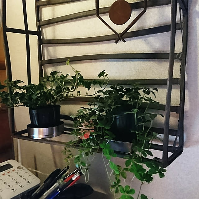 mappi773さんの実例写真