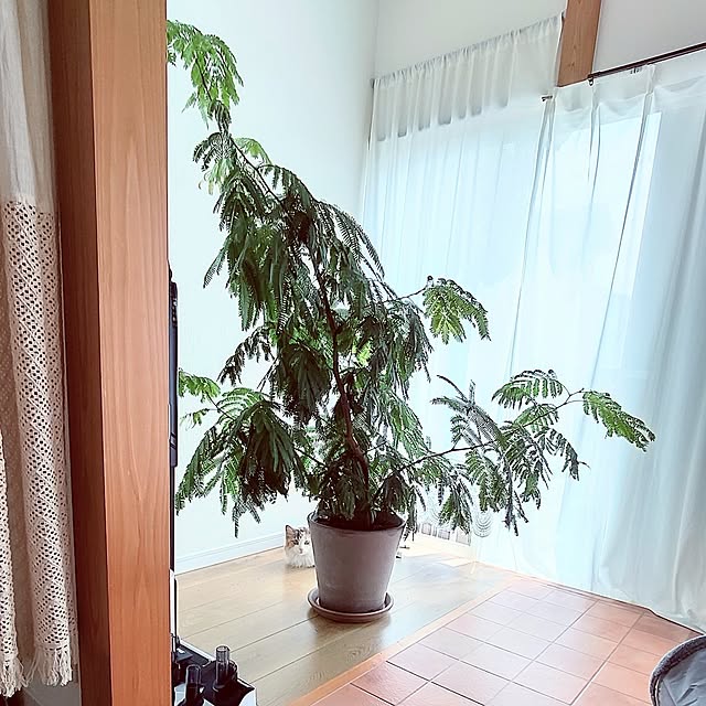 +CHIHARU+さんの部屋