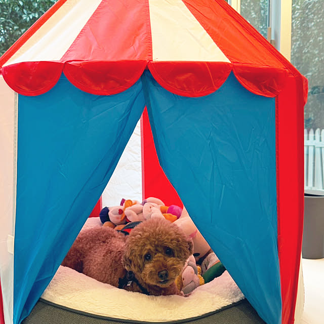 nackeyさんの部屋