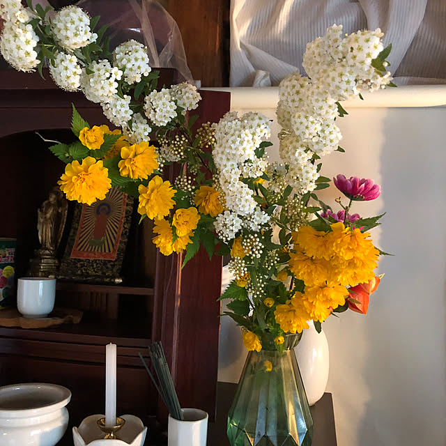lilyさんの部屋