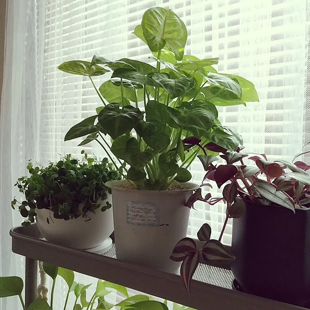 meiさんの部屋