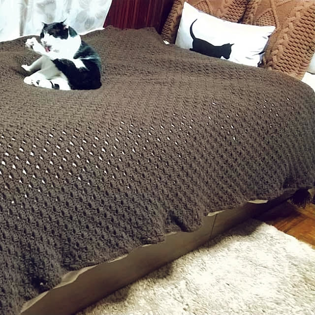 Miyaさんの実例写真