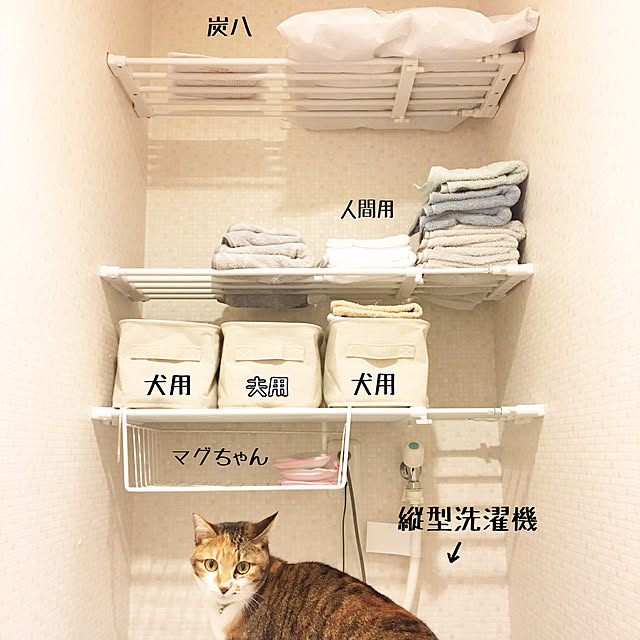 akitainu7さんの実例写真