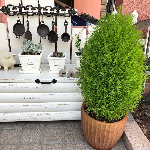 snowさんの実例写真
