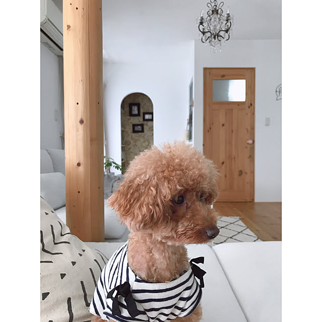 saooo39さんの実例写真
