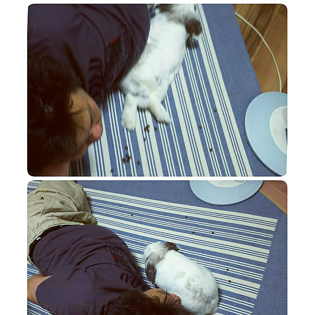 WASABIさんの実例写真