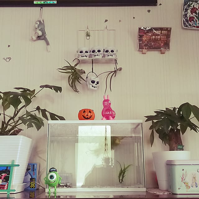 Mikiさんの実例写真