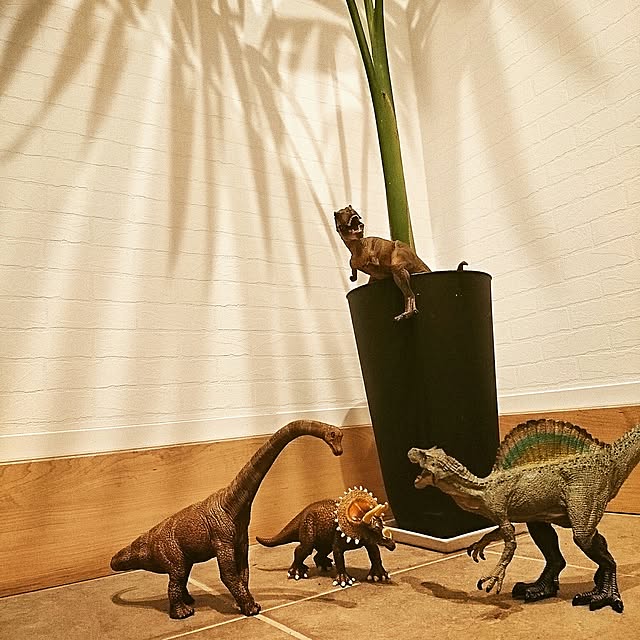 nabodayoさんの実例写真