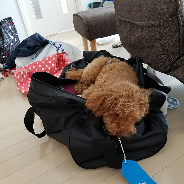 kikoさんの実例写真