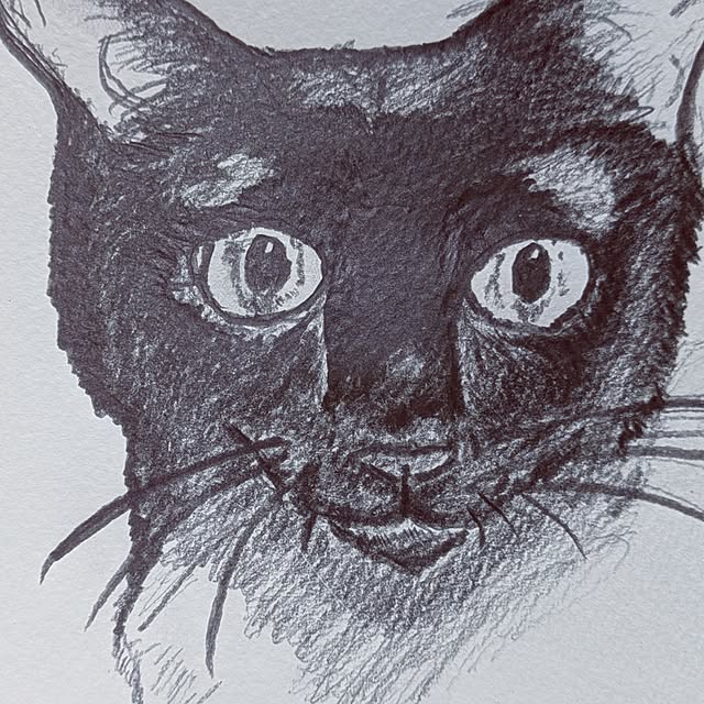 asaさんの実例写真