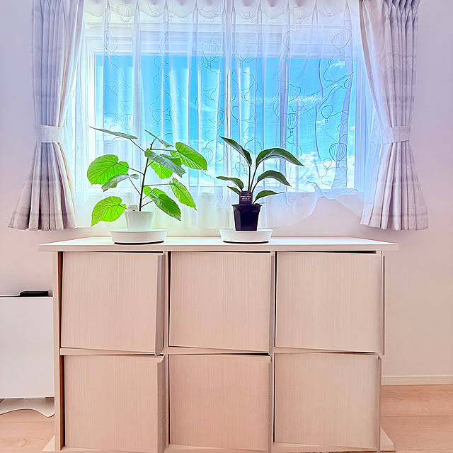 akihimeさんの実例写真