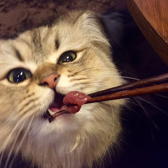 butachanさんの実例写真