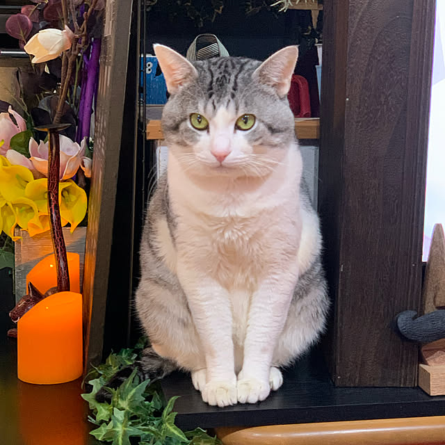 Soraさんの部屋