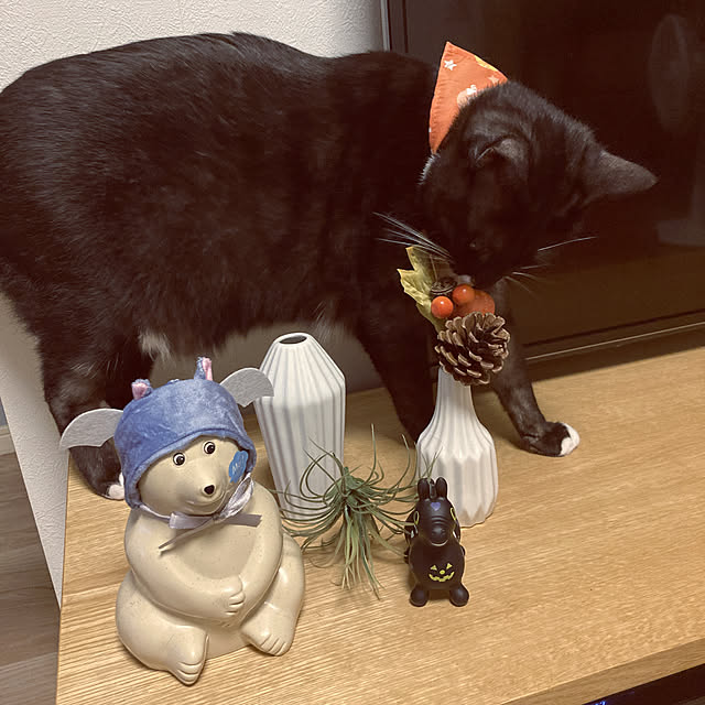 masamasaさんの実例写真