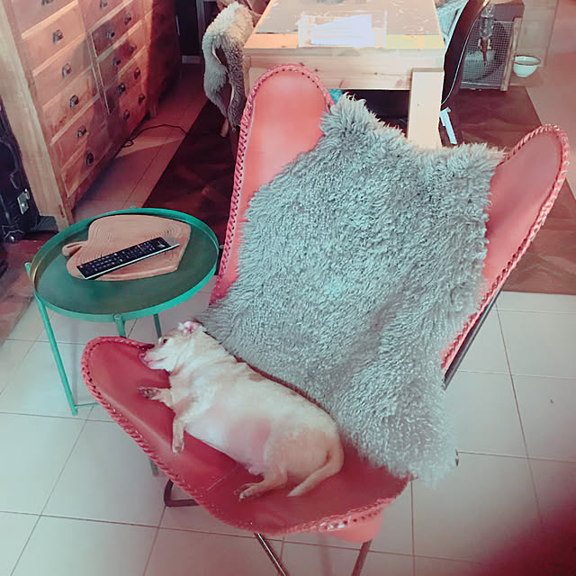 Risaさんの実例写真