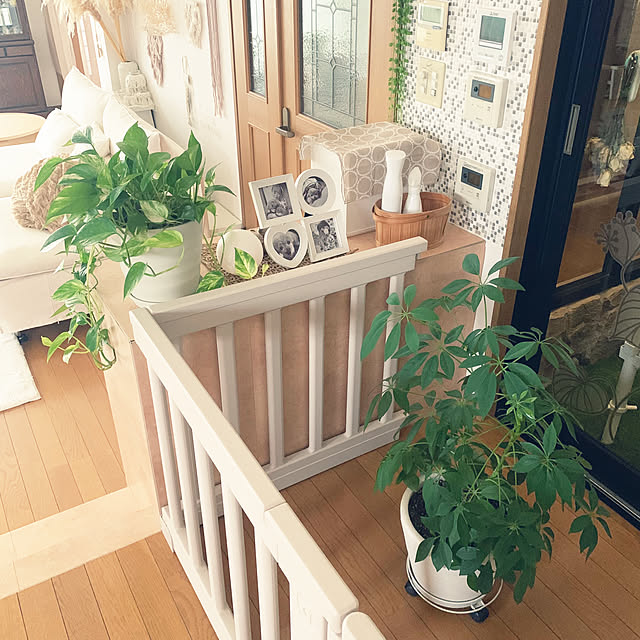 yumi.fさんの部屋