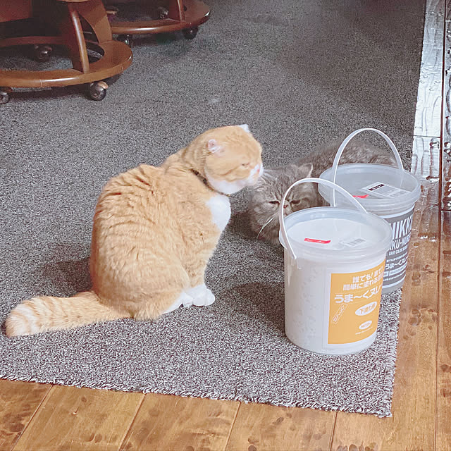 shizzzさんの実例写真