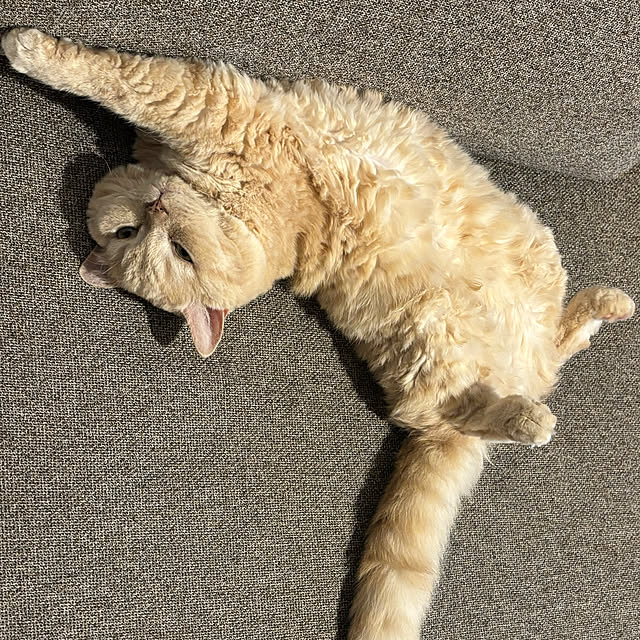 naokoさんの部屋