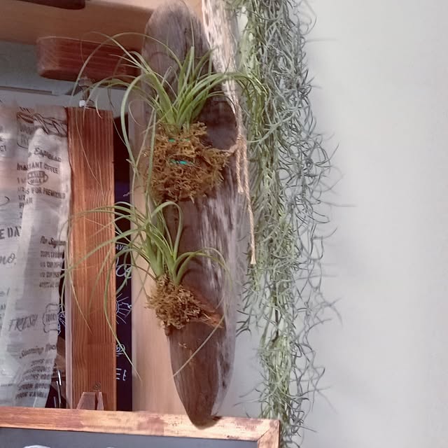 mocomocoさんの部屋