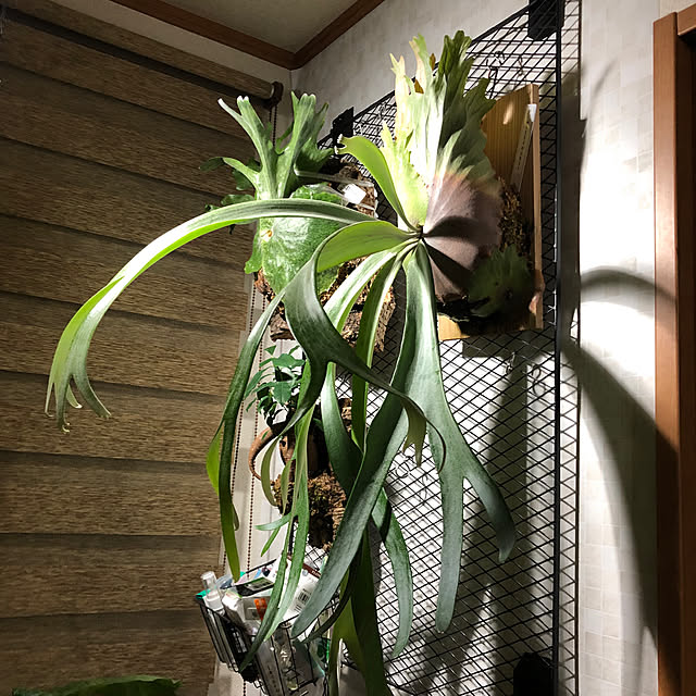 CoffeeHouseさんの部屋