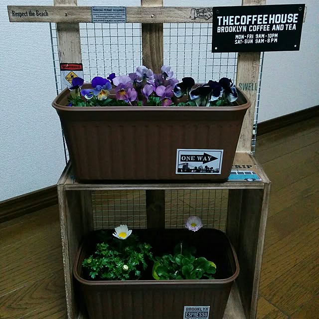 satoさんの実例写真