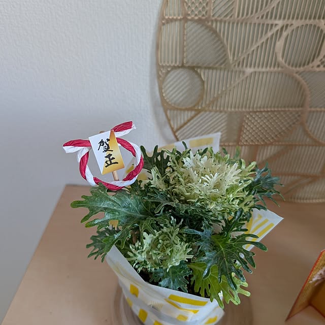 KOHAKUさんの部屋