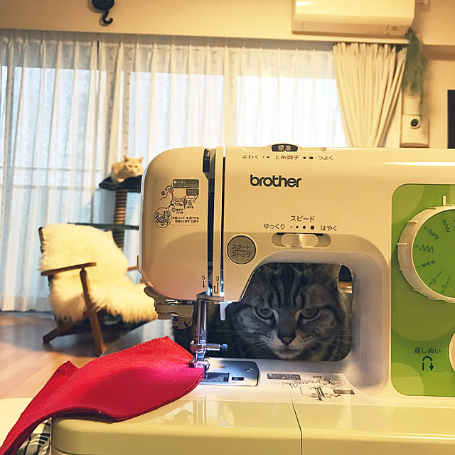 hiyupan88さんの実例写真