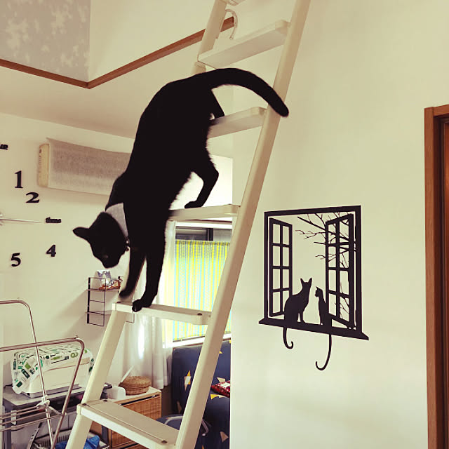 jijiさんの実例写真