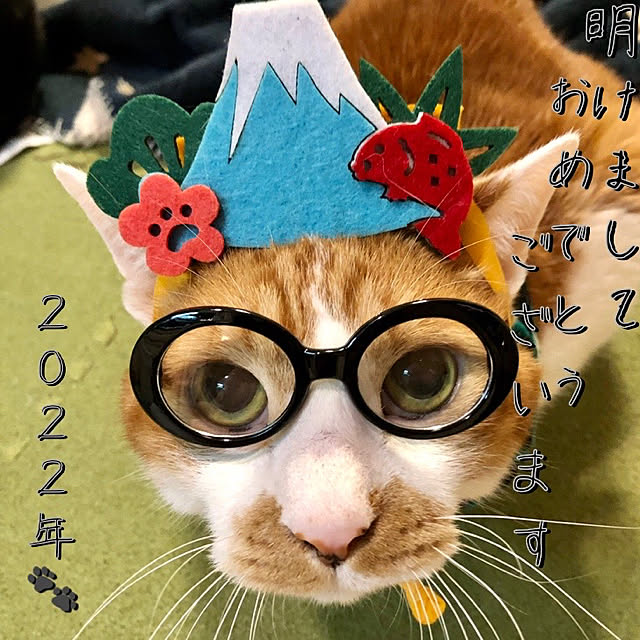 mikenekoさんの実例写真