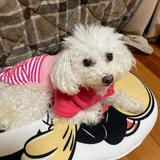 kakoさんの部屋