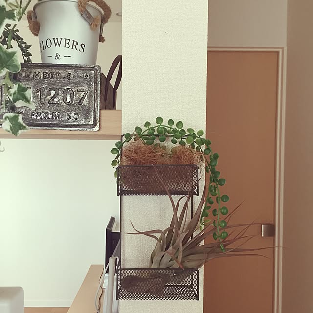 minminさんの実例写真