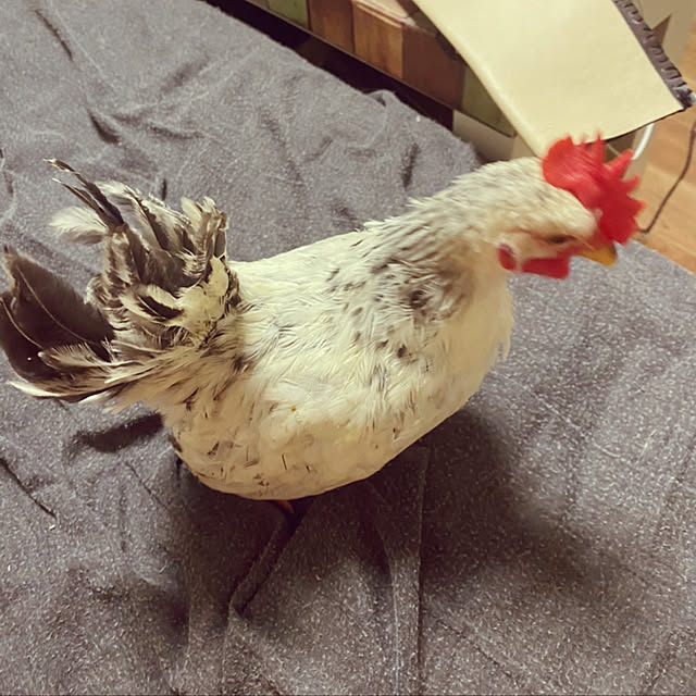 mさんの実例写真