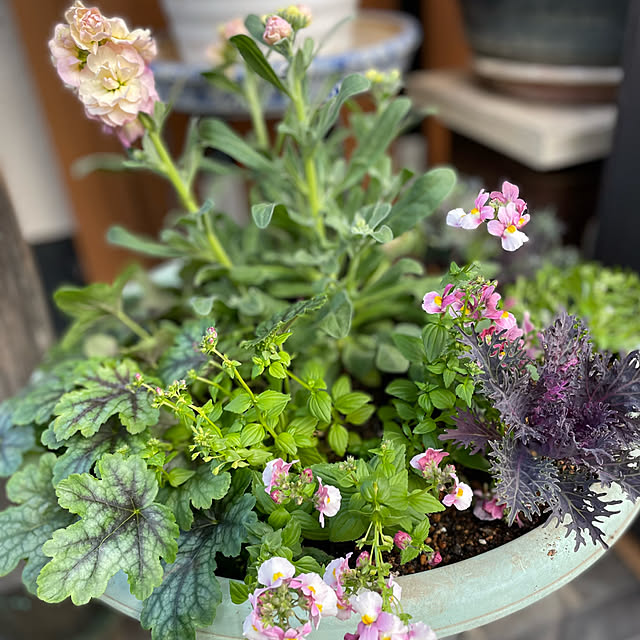 buchiさんの実例写真