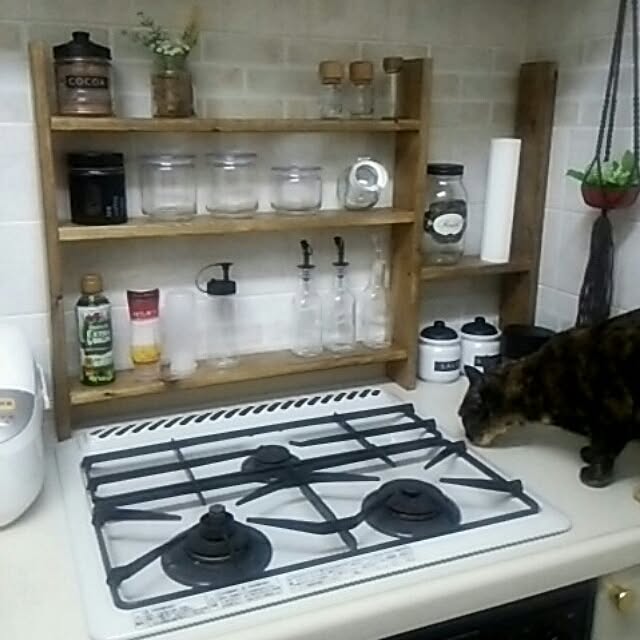 DS250さんの実例写真