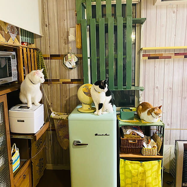 SHIHOさんの実例写真
